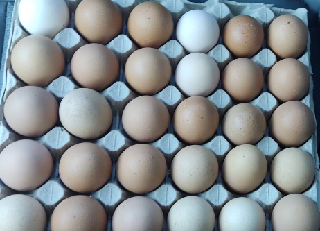 Carnicería La Esperanza de la Reyna 8