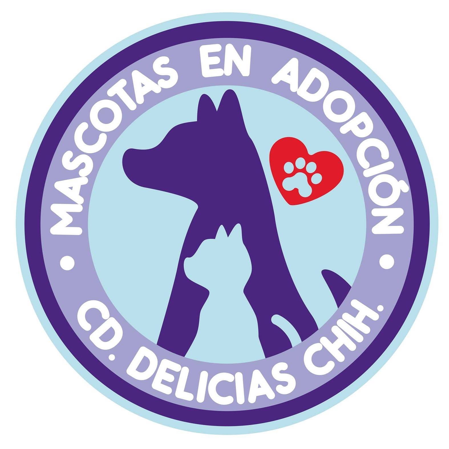 MASCOTAS EN ADOPCIÓN DELICIAS