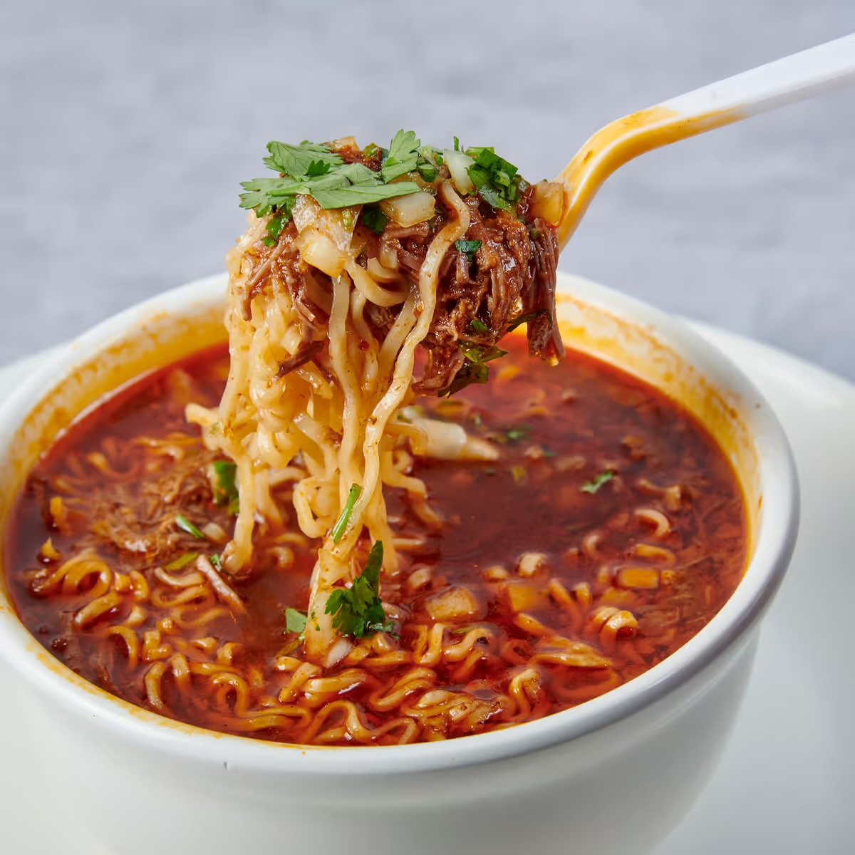 Quesabrosas Birria de Rosy 3