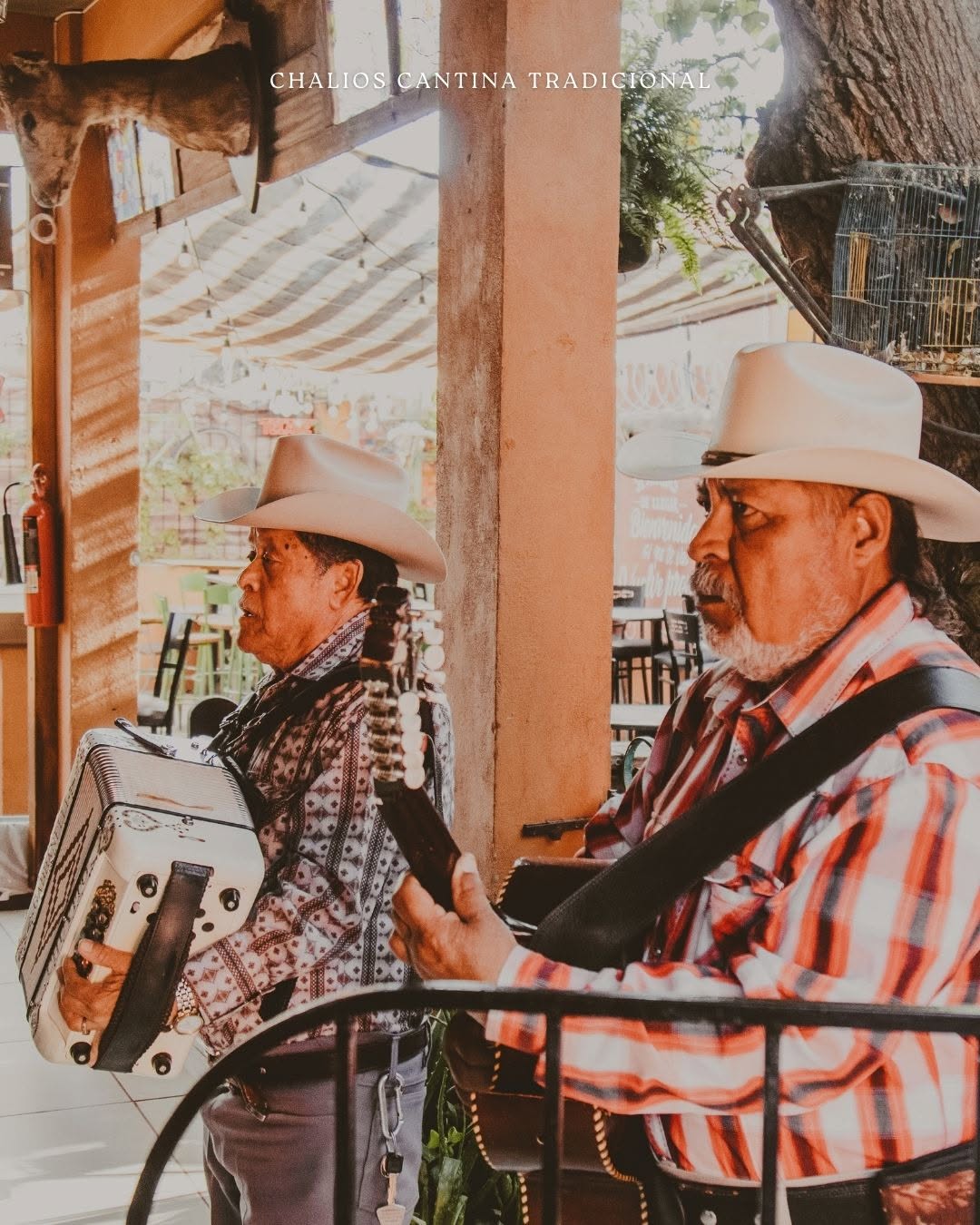 El Patio de Chalios 3