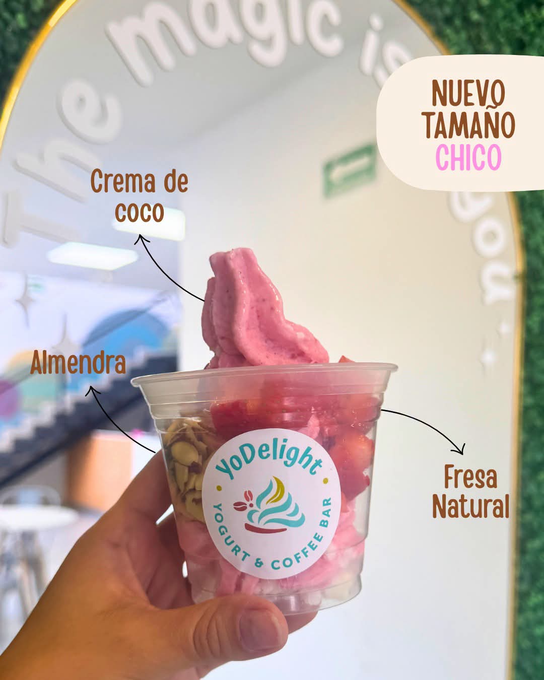 YoDelight 2