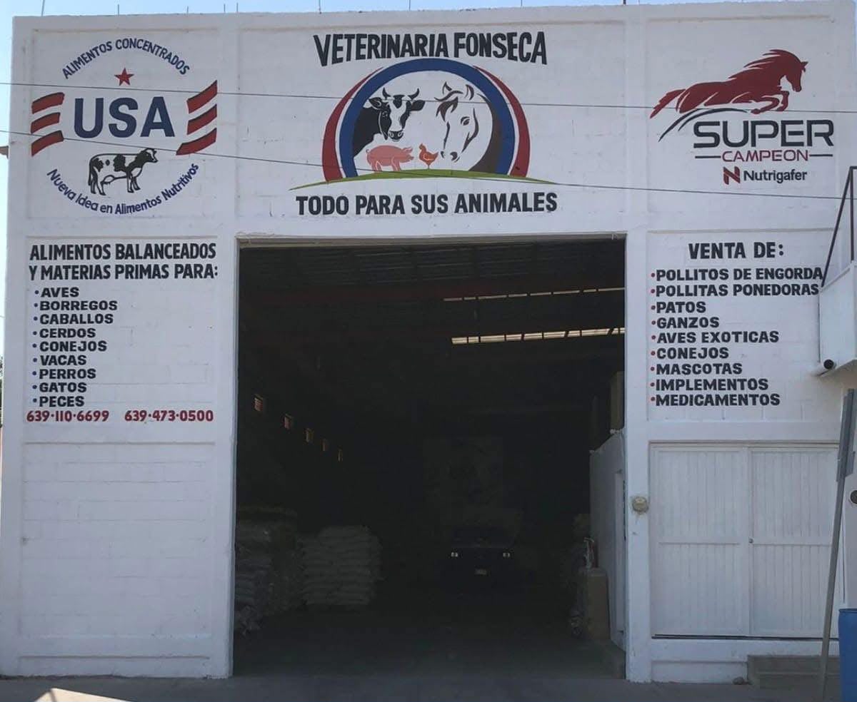 Veterinaria Fonseca 2