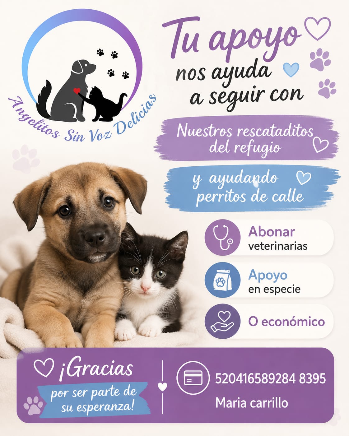 Angelitos Sin Voz Delicias 2