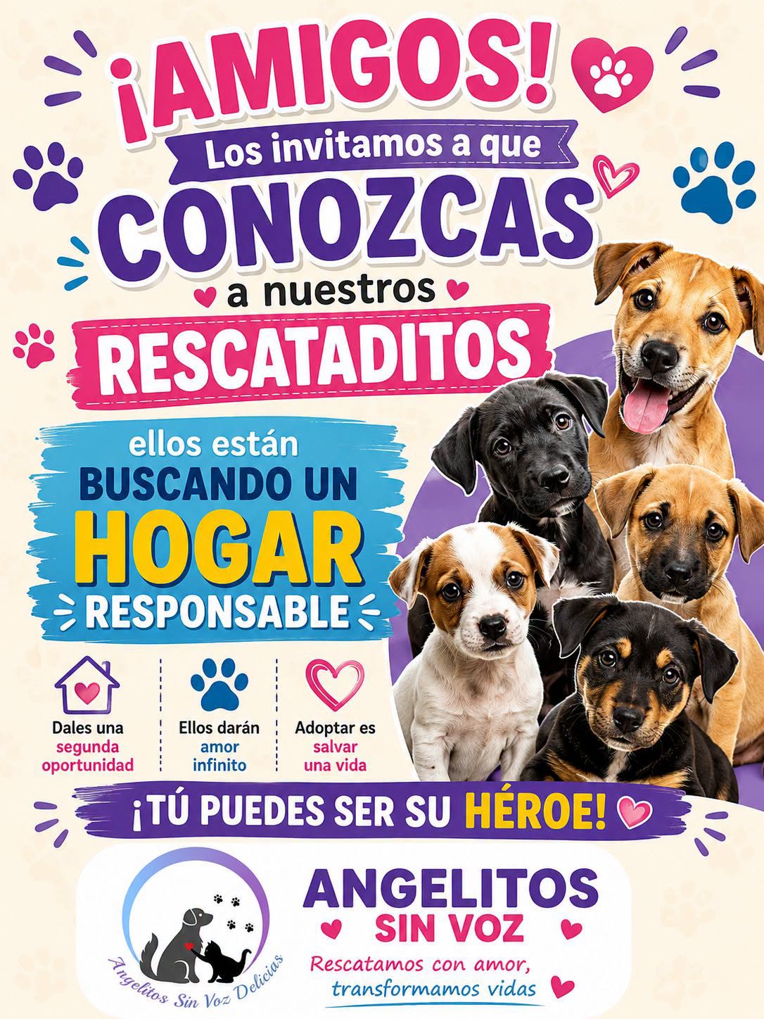 Angelitos Sin Voz Delicias 3