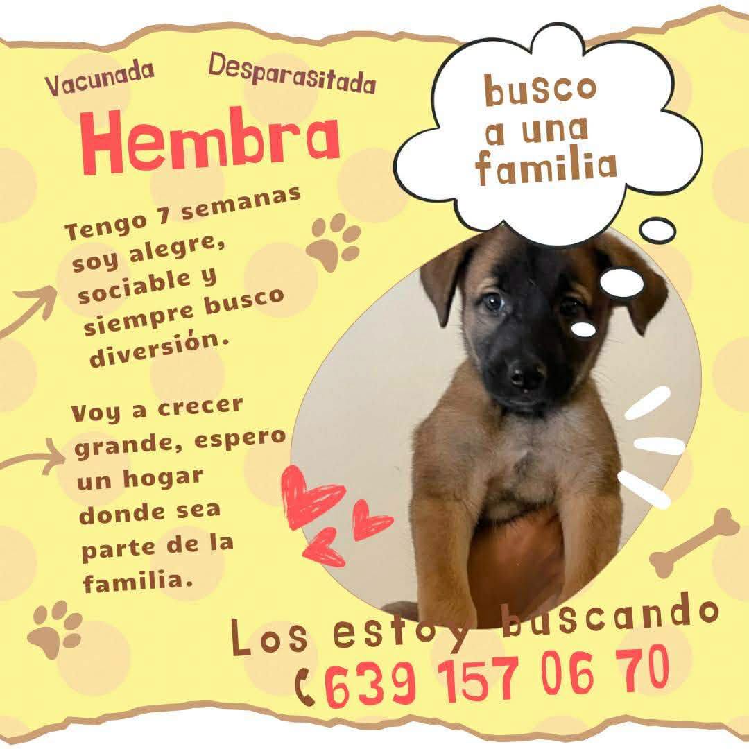 Angelitos Sin Voz Delicias 5