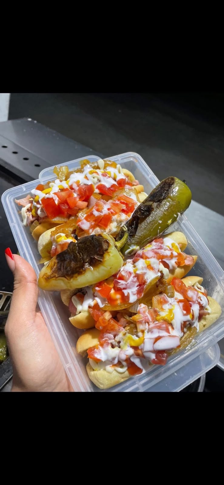 Hot Dogs Ayala 3