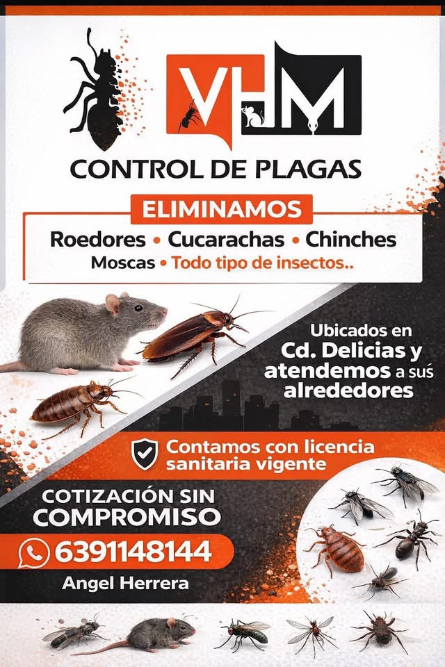 VHM Control de Plagas 2