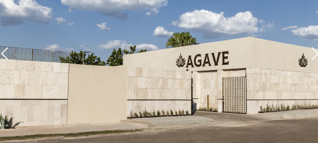 Agave Mexican Bistro (Grupo RUAN) 6