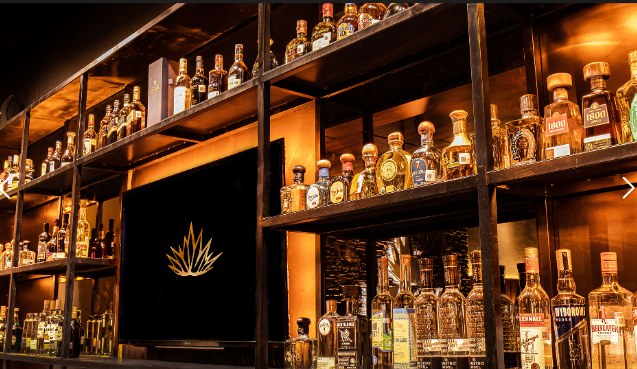 Agave Mexican Bistro (Grupo RUAN) 7
