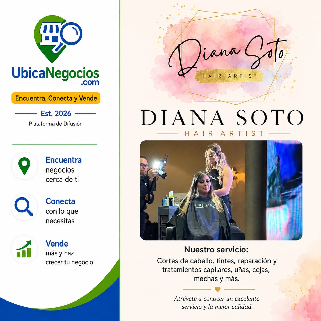 Diana Soto Hair Salon