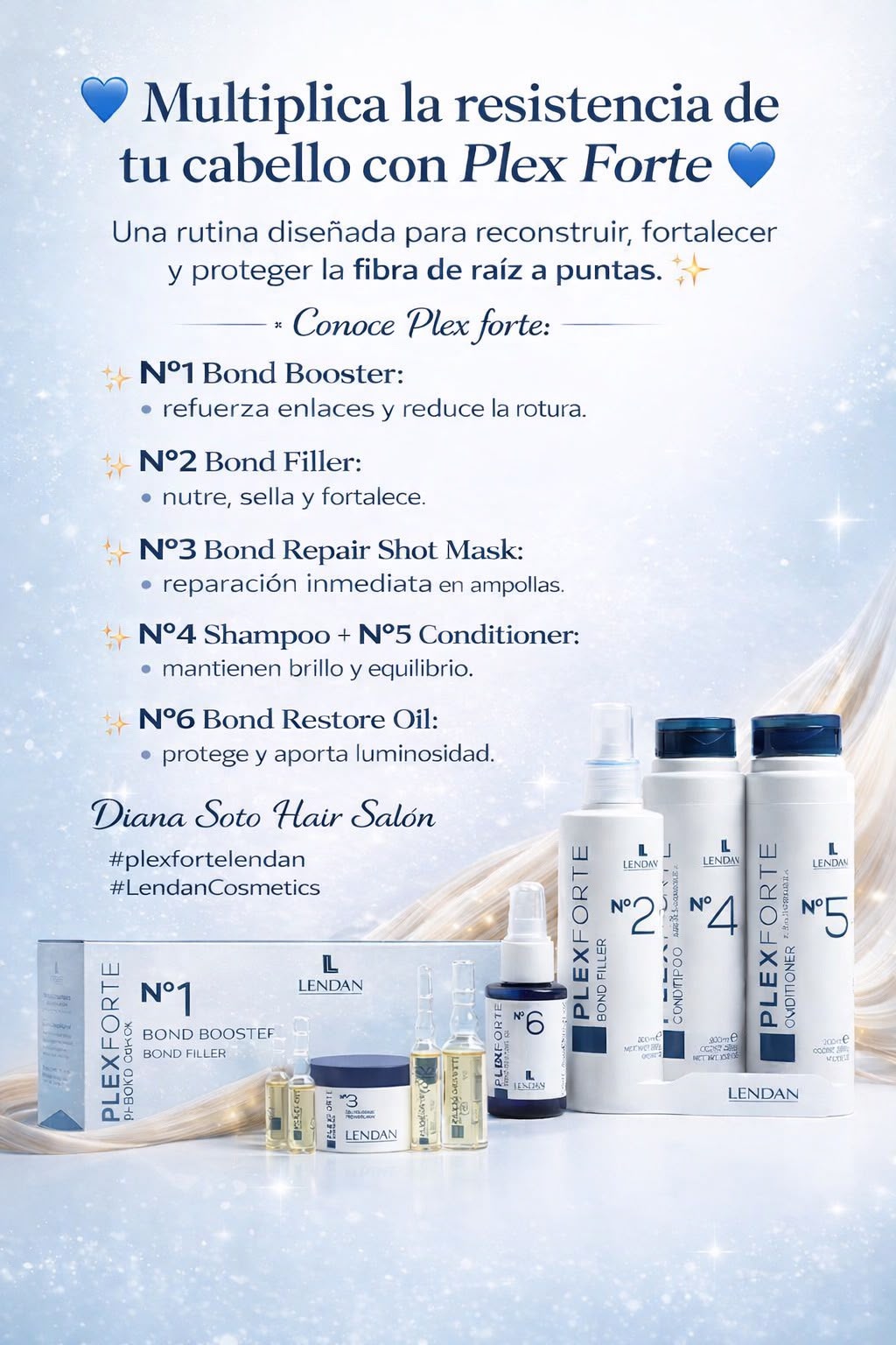 Diana Soto Hair Salon 22