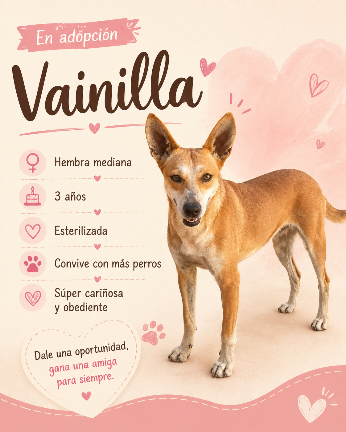 Adopta Un Angel-APROAC 2
