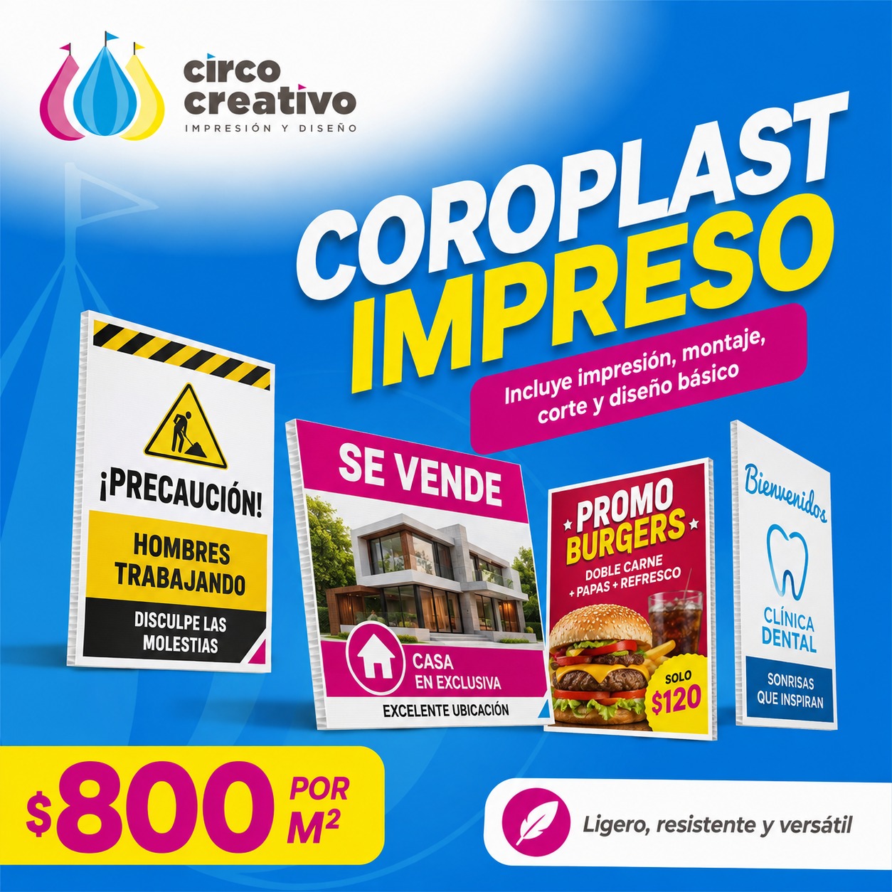 Circo Creativo 10