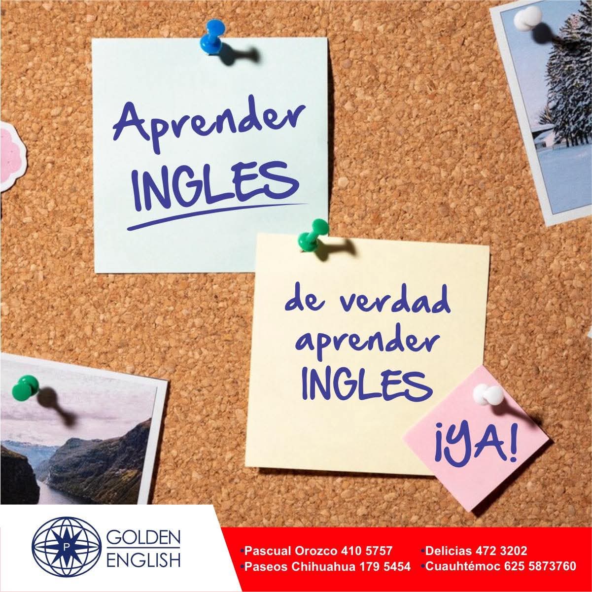 Golden English Delicias 3