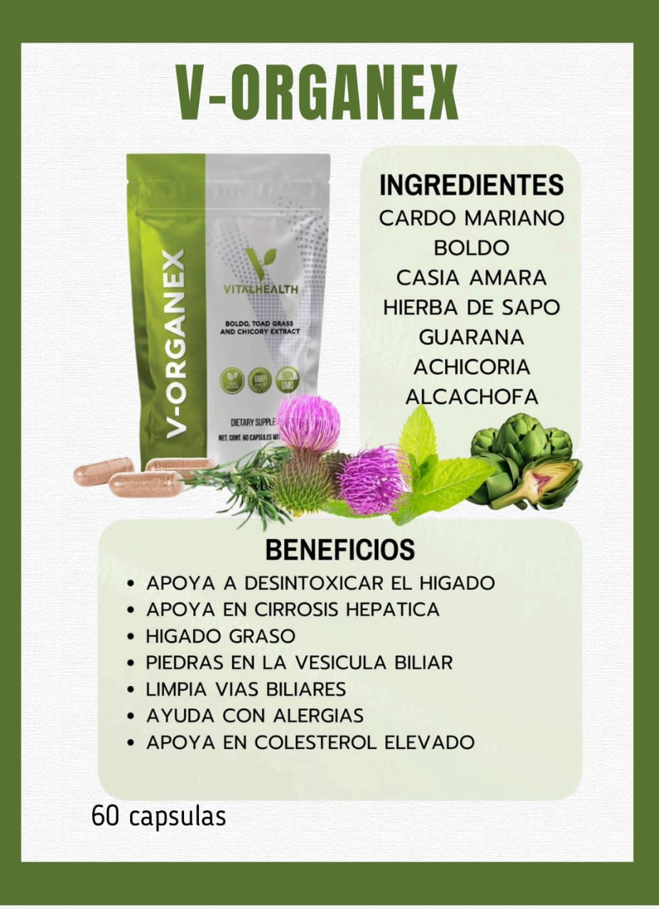 Ventas Lety 40