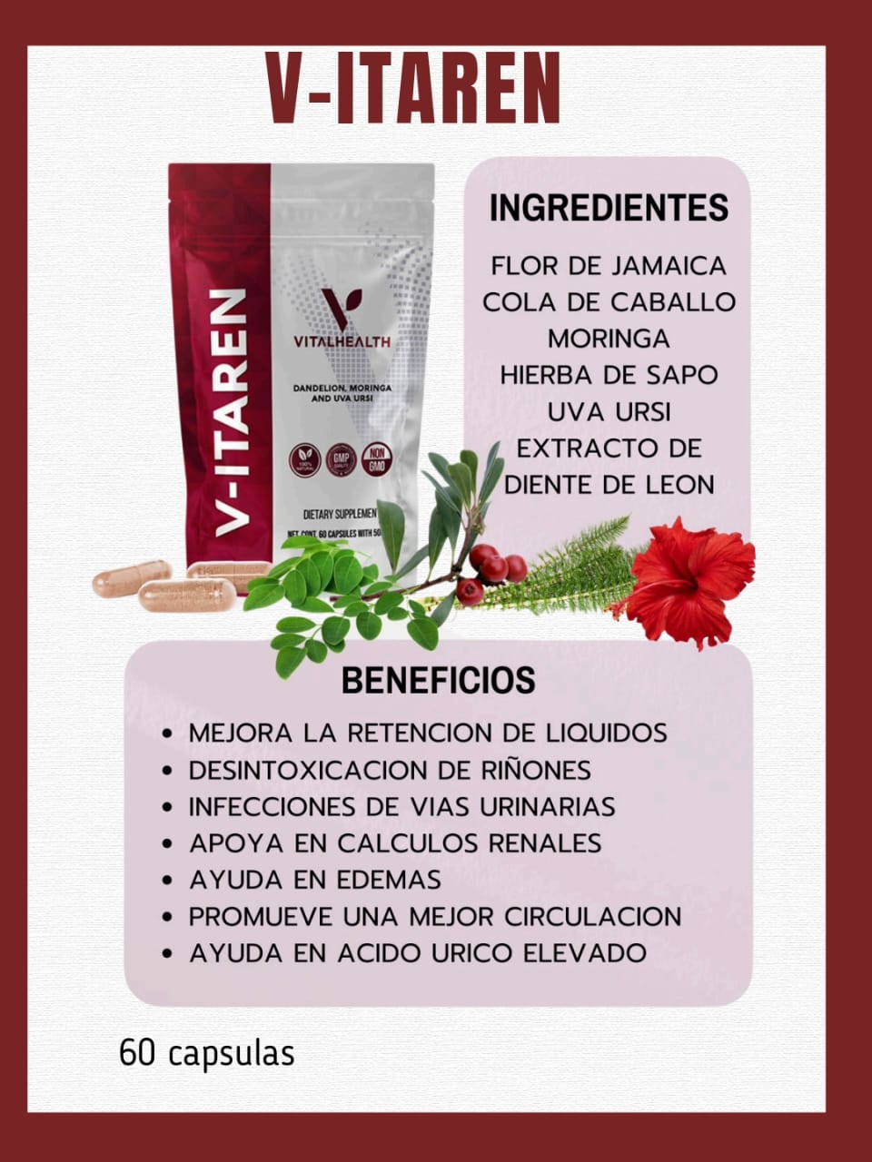 Ventas Lety 36