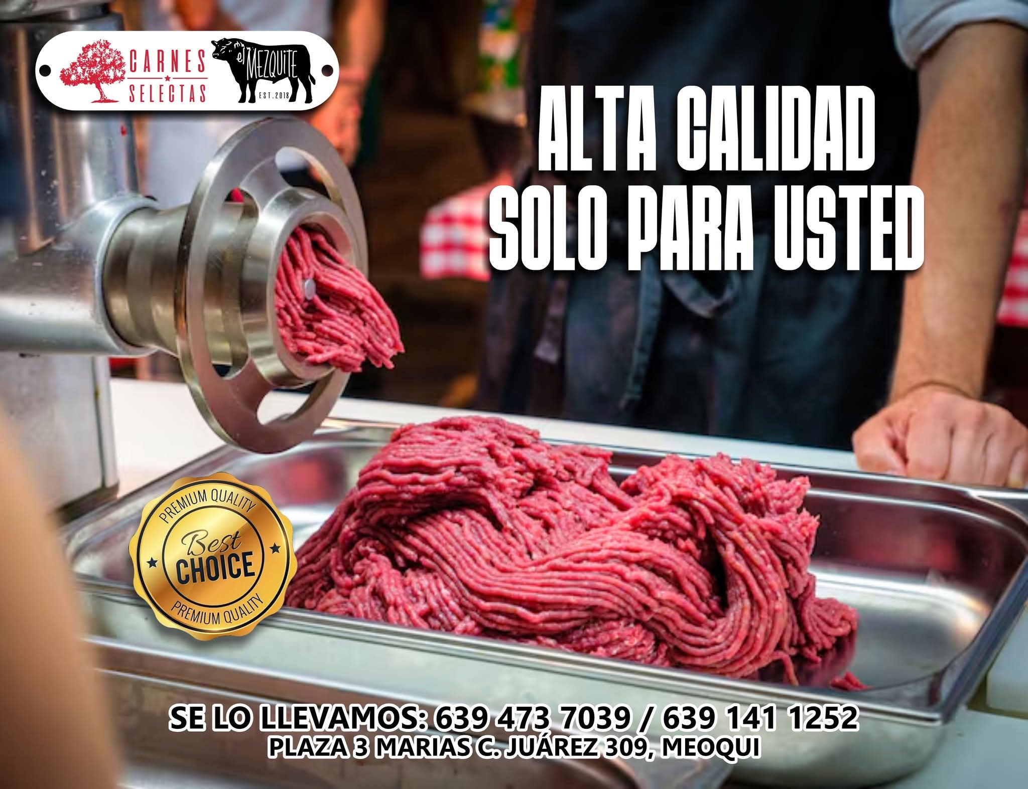 Carnes selectas "El Mezquite" 2